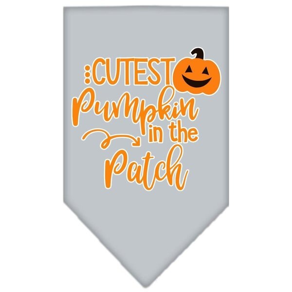 Cutest Pumpkin in the Patch Screen Print BandanaGrey Small